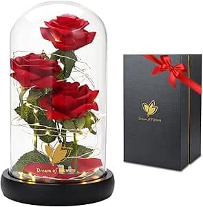 Mothers Day Flowers Gifts for Mom Beauty and The Beast Rose Flowers, Artificial Flower Light up Rose, Birthday Gifts for Women, Rose in Glass Dome, Enchanted Flower Rose Gifts for Wife Girlfriend Her